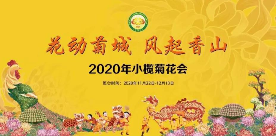 2020小欖菊花會(huì)