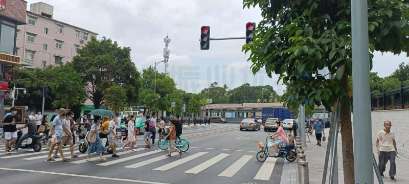 圖11 中山大道-楓葉路交叉口調(diào)整后行人過(guò)街情況圖